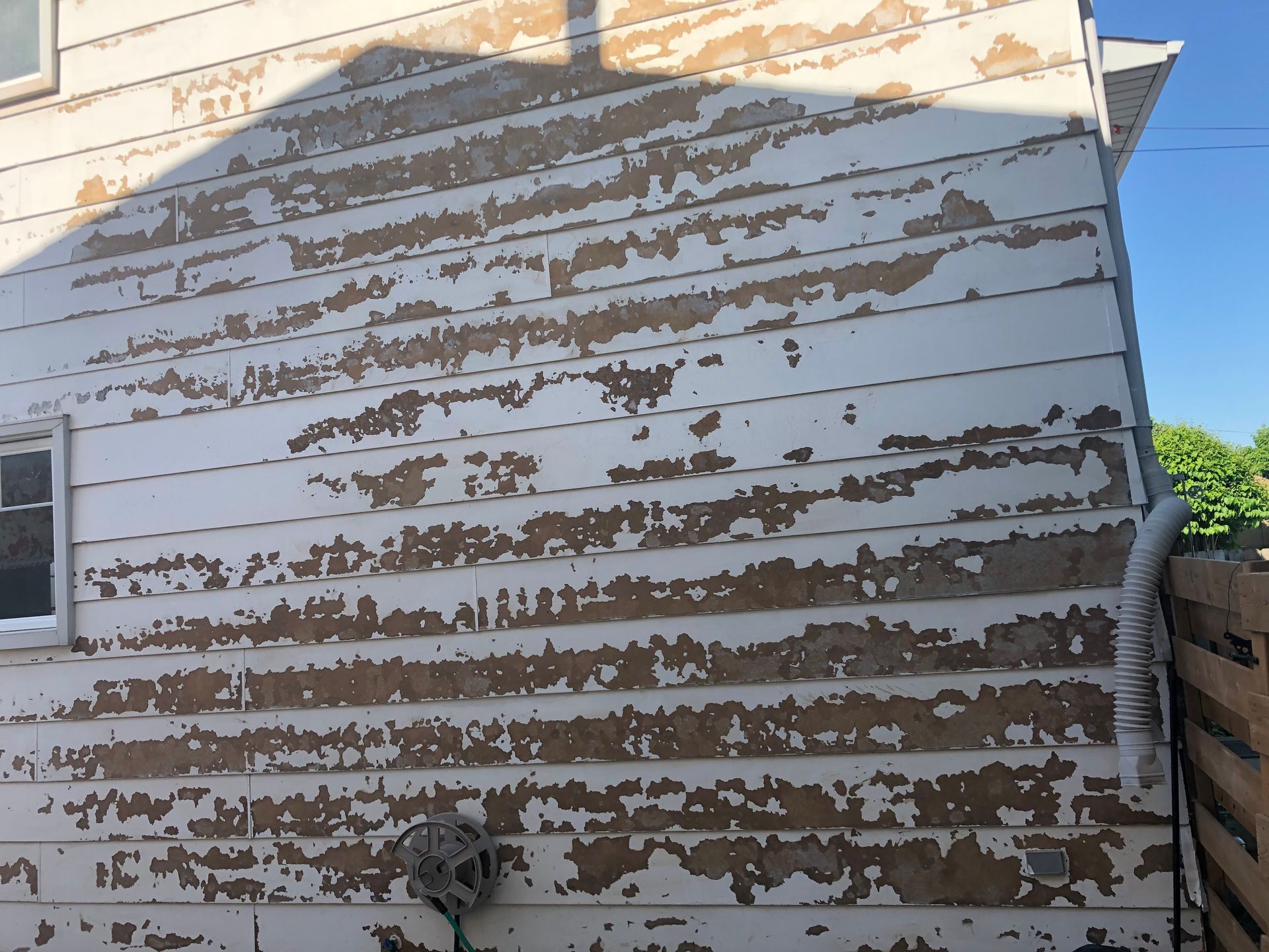 After – freshly painted siding